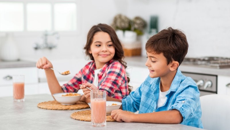 Snacks for Kids USA balanced healthy snacks for growth and energy