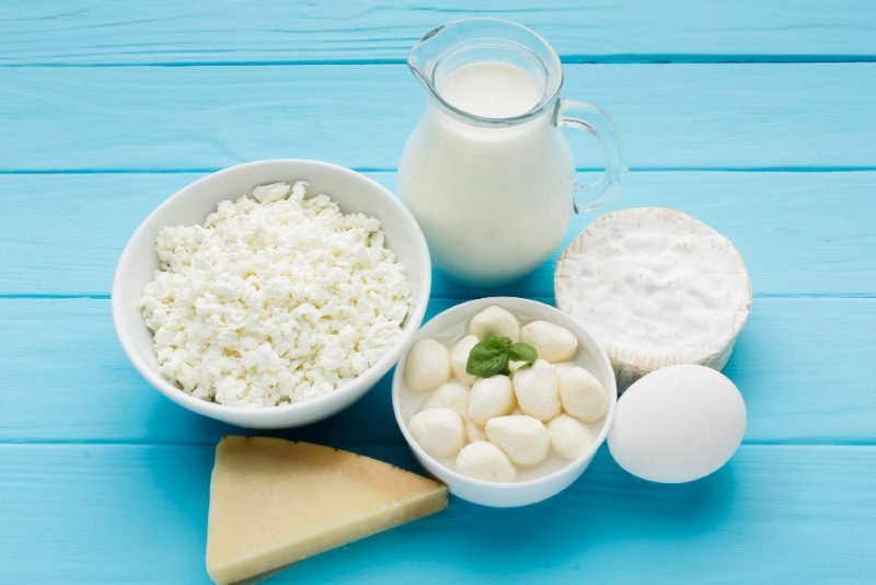 High Protein Foods List for Fat Loss USA dairy products