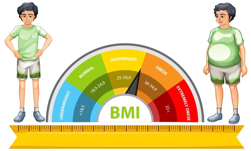 Body fat types shown through subcutaneous and visceral fat illustration