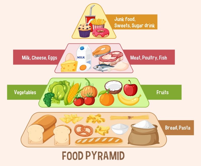 NHS Eatwell Guide balanced diet chart UK
