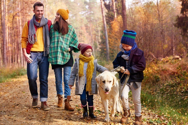 family enjoying outdoor activities following Healthy Lifestyle Tips for USA Families