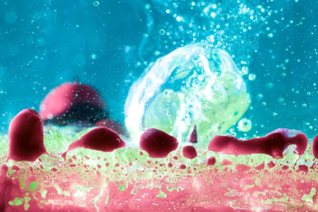 autophagy skin cell renewal process