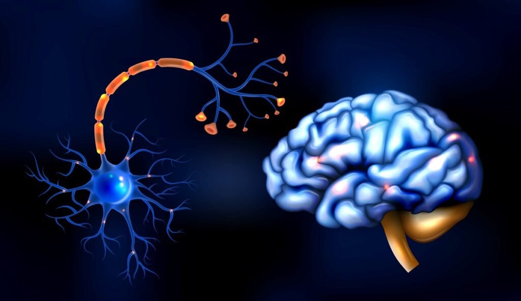 brain plasticity and neurogenesis illustration with neurons forming connections