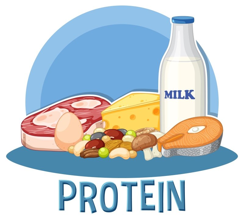 High protein foods for recovery after home back workout without equipment including salmon yogurt and water