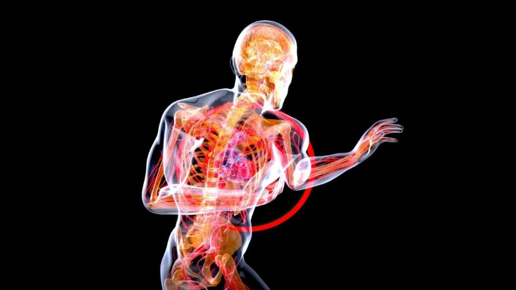 Acoustic Wave Therapy for Longevity improving blood circulation and angiogenesis naturally.