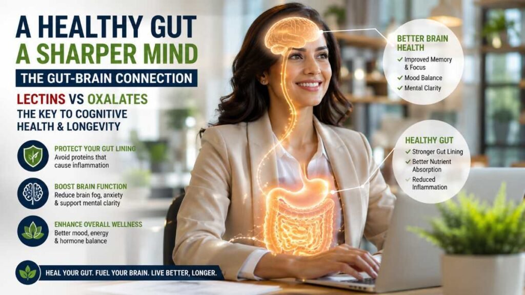 A professional visualizing the gut-brain axis connection and how Lectins vs Oxalates impact long-term cognitive performance and focus.
